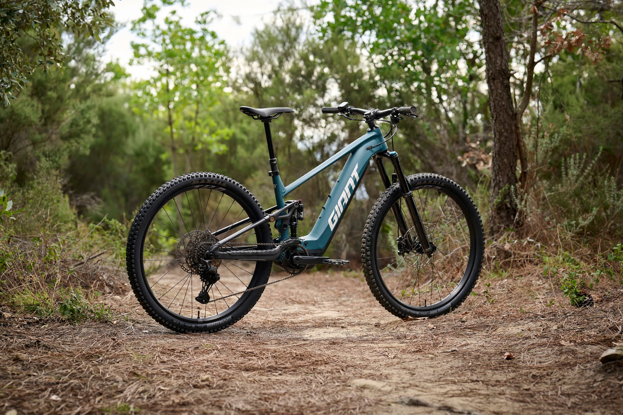 fahrradsattel giant Giant Stance E+ 0 2026 Deep Lake 800 Wh online kaufen