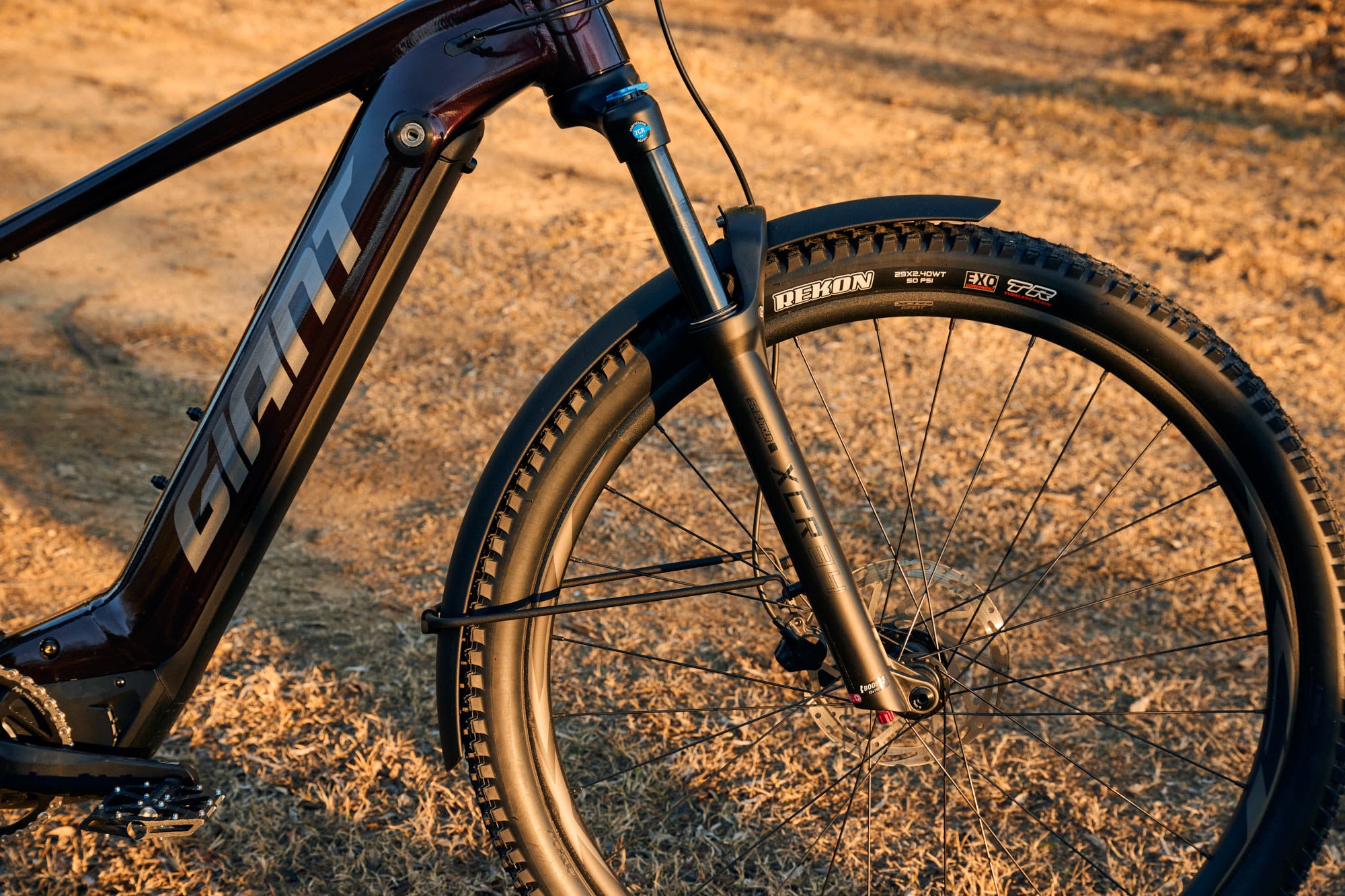 Giant Fathom E+ EX 625 Wh 2025 Cordovan